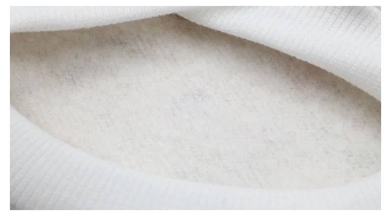 Gingerbread Dog Costume and Pet Accessories