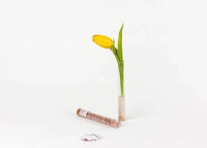 wholesale - Natural GIFT for your bath in a Tube - Gift set with 7 Glass tubes