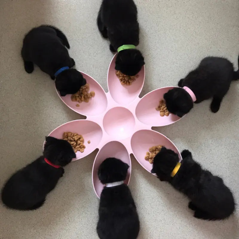 Pet Platter with Petal-Shaped Dog Bowls