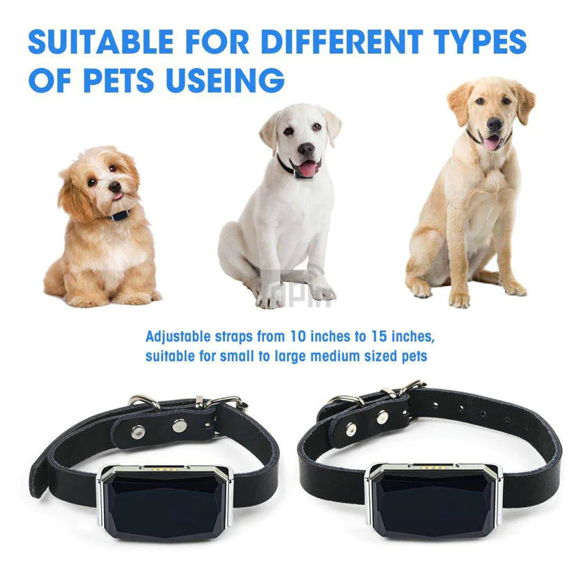 Pet Tracking Locator Device for Safety and Security