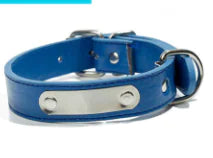 Personalized Dog Collar - Pet Accessories