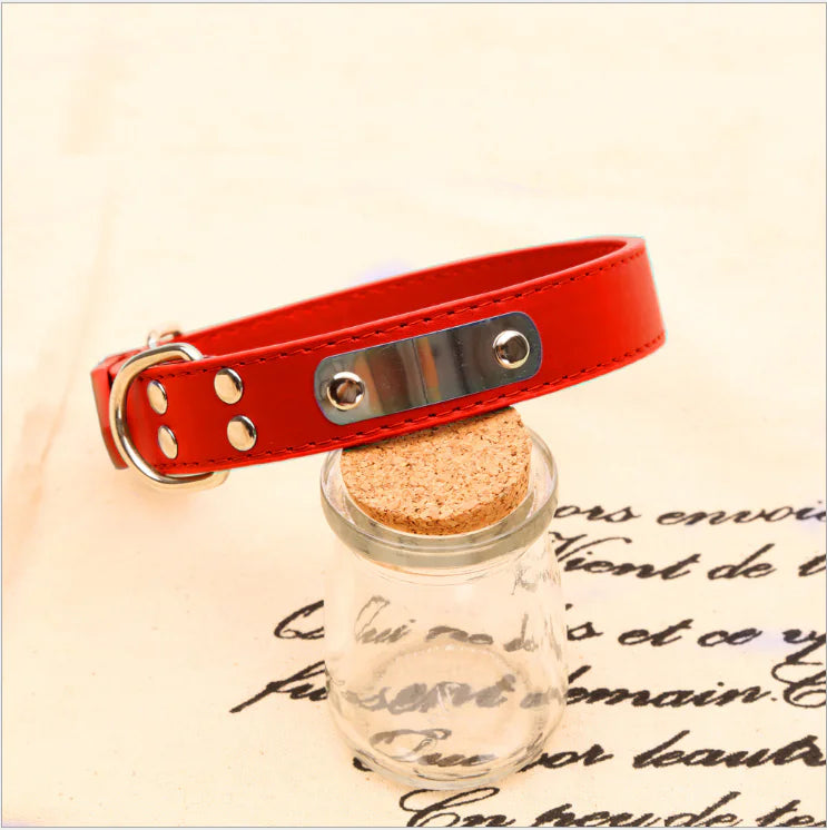 Personalized Dog Collar - Pet Accessories